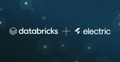 Databricks: samenwerking met Electric voor WASM Postgres